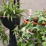 Apartamento Teodorico *