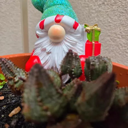 Teodorico Daire Ravenna