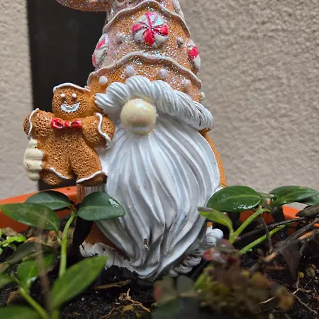 Teodorico Daire Ravenna