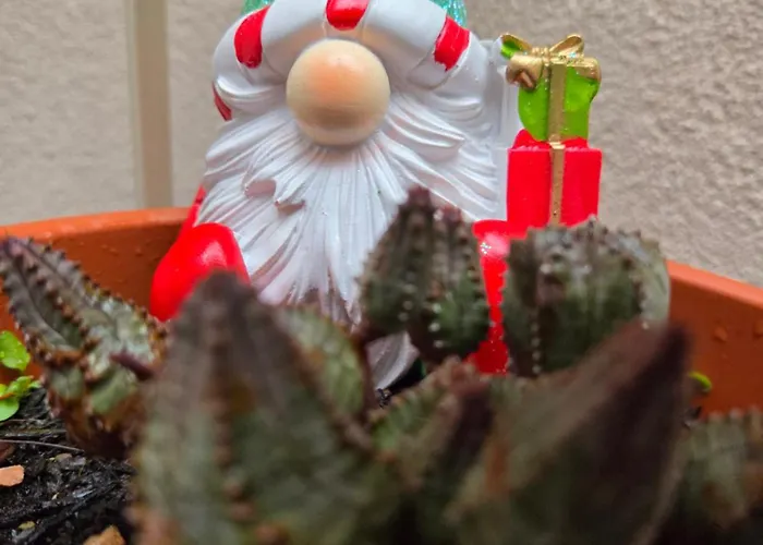 Teodorico شقة رافيننا